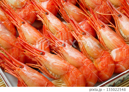 北海シマエビ 133022548