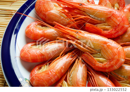 北海シマエビ 北海シマエビ 133022552