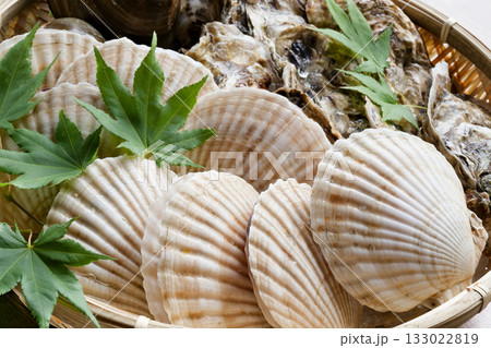 活貝詰め合わせ 活貝詰め合わせ 133022819