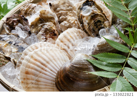 活貝詰め合わせ 133022821