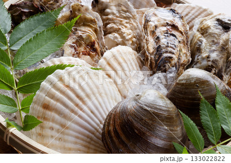 活貝詰め合わせ 133022822