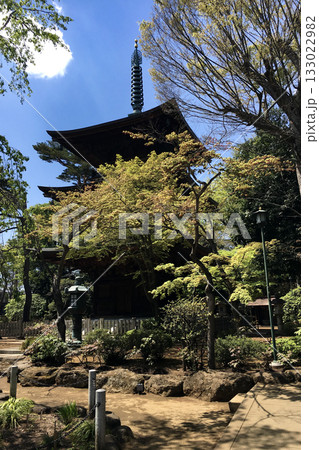 彦根藩井伊家菩提寺豪徳寺 彦根藩井伊家菩提寺豪徳寺 133022982