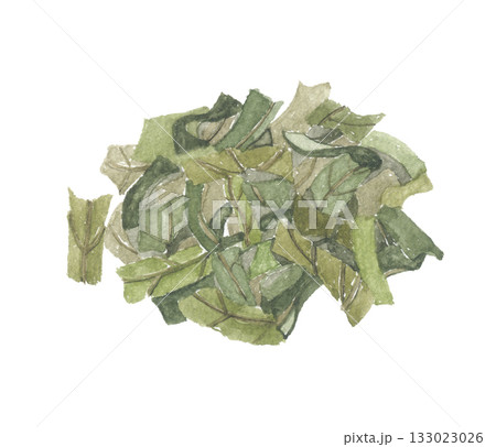 水彩で描いた柿の葉 水彩で描いた柿の葉 133023026