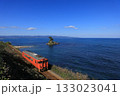 雨晴海岸を行く氷見線のキハ40 133023041