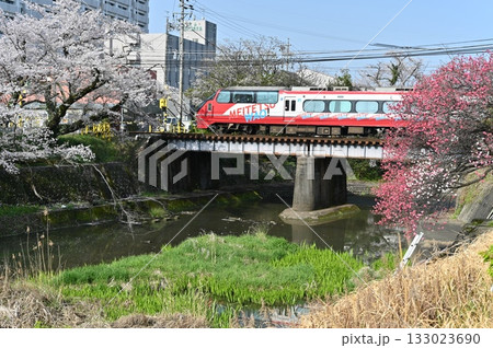 犬山線桜満開の郷瀬川 1200系パノラマスーパー 133023690