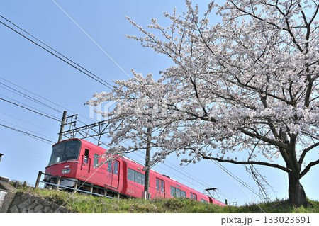 桜咲く各務原線を行く3500系 桜咲く各務原線を行く3500系 133023691