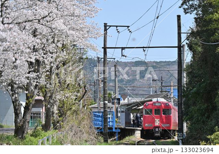 桜咲く名鉄広見線御嵩駅 6000系電車6012編成 133023694