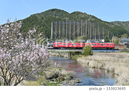 桜咲く名鉄広見線 6000系電車6012編成 133023695