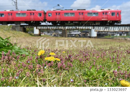 名鉄広見線 タンポポと6000系 名鉄広見線 タンポポと6000系 133023697