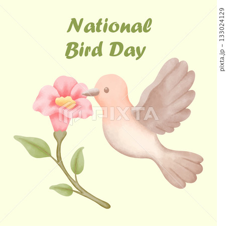bird watercolor illustration featuring a cute colorful bird inspired by national bird day 133024129