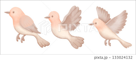 watercolor tropical bird illustration for ecology 133024132