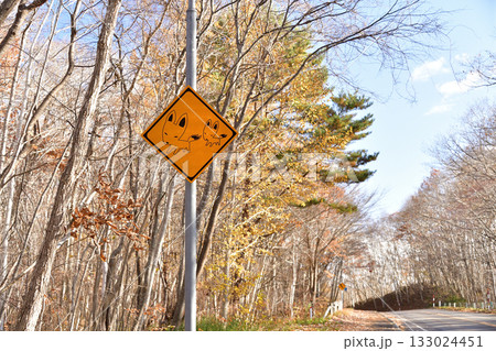 晩秋の北海道七飯町で道路標識のある風景を撮影 133024451