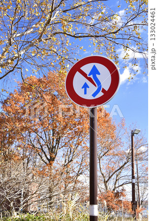 晩秋の北海道七飯町で道路標識のある風景を撮影 133024461