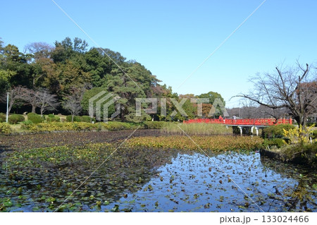 岩槻城址公園 133024466