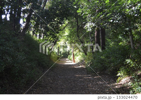 岩槻城址公園・堀 133024470