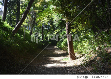 岩槻城址公園・堀 133024472