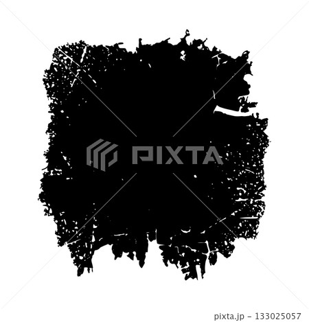 Unique artistic black and white texture resembling natural elements in an abstract composition 133025057