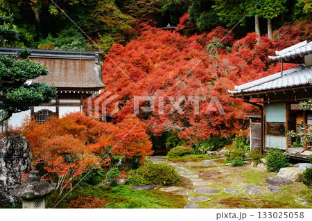 山県市東光寺 133025058