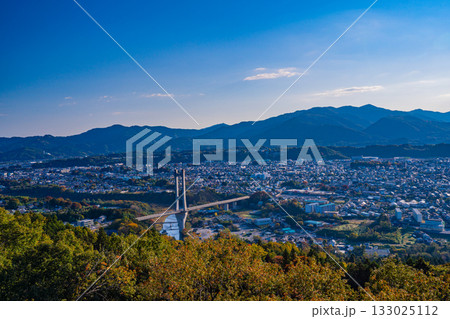 【埼玉県】秩父ミューズパーク旅立ちの丘展望台から見る、秩父公園橋と街並み 133025112