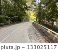 country road bridges wit old barriers 133025117