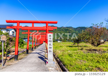 〈島根県〉粟津稲生神社の朱色の鳥居 〈島根県〉粟津稲生神社の朱色の鳥居 133025129
