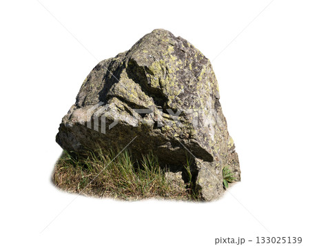 stone with grass isolated on white background 133025139