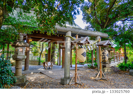 川越市 川越氷川神社 本殿 川越市 川越氷川神社 本殿 133025760