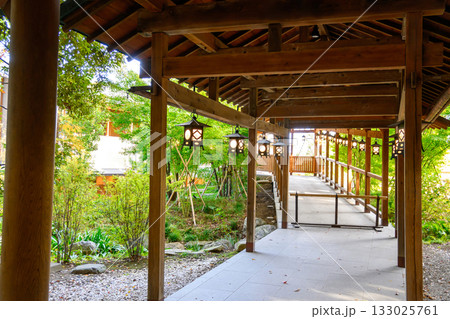 川越市　川越氷川神社　氷川会館と本殿、拝殿の渡り廊下 133025761