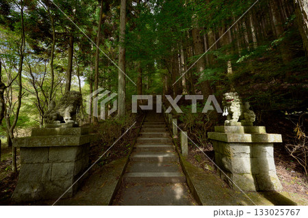 石割神社の長い階段 133025767