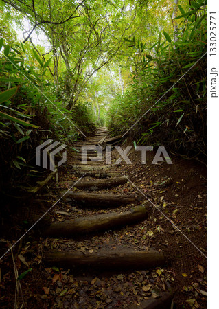 石割山の登山道 石割山の登山道 133025771