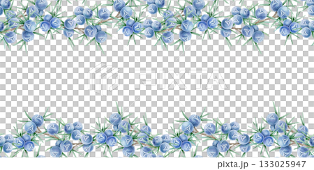 Dense horizontal border of blue juniper berries and green needle foliage painted as hand drawn watercolor illustration. Perfect for stationery, posters, card decoration, wrapping and textiles. 133025947