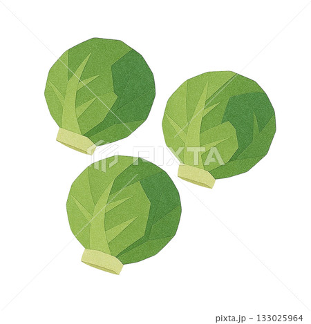 【野菜】芽キャベツのイラスト 133025964