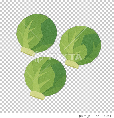 【野菜】芽キャベツのイラスト 133025964