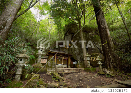 石割神社 石割神社 133026172
