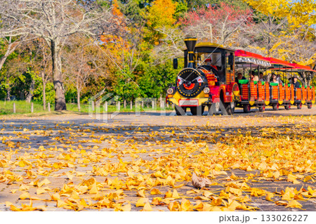 【埼玉県】秩父ミューズパーク 銀杏並木を走るスカイトレイン 【埼玉県】秩父ミューズパーク 銀杏並木を走るスカイトレイン 133026227