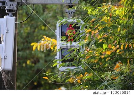 歩行者用信号機 133026814