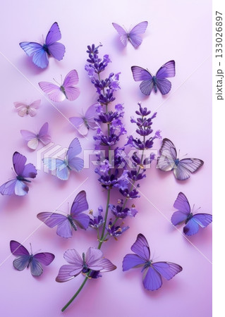 purple butterfly lavender knolling design concept 133026897