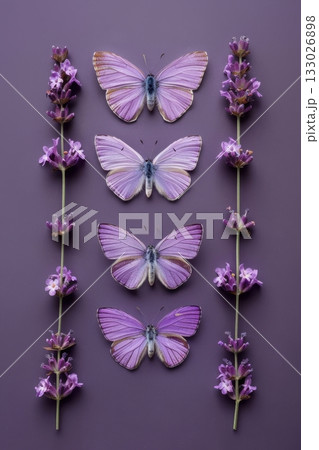 purple butterfly lavender knolling design concept purple butterfly lavender knolling design concept 133026898