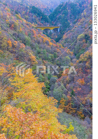 【埼玉県】雁坂トンネルに続く、雁坂大橋（紅葉期） 133026941