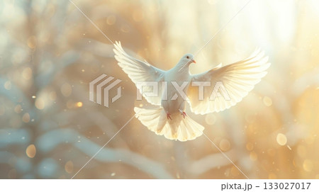 white dove flying religion concept for heaven 133027017