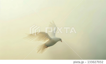 white dove flying religion concept for heaven 133027032