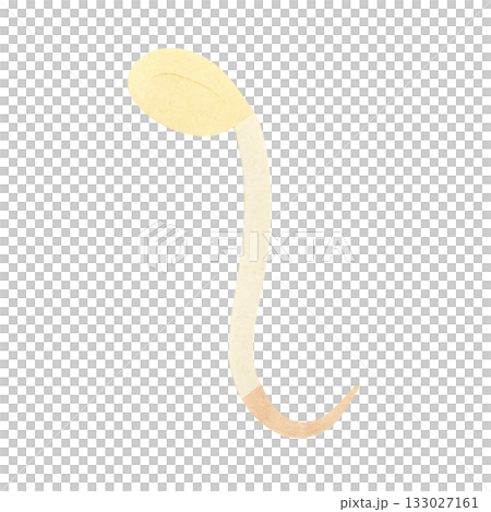 【野菜】もやしのイラスト 133027161