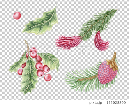 Set of holly and Norway spruce twig hand drawn in watercolor with sparkling pencil texture. Green leaves and pink berries create a festive botanical look. Perfect for Christmas card and other project. Set of holly and Norway spruce twig hand drawn in watercolor with sparkling pencil texture. Green leaves and pink berries create a festive botanical look. Perfect for Christmas card and other project. 133028890