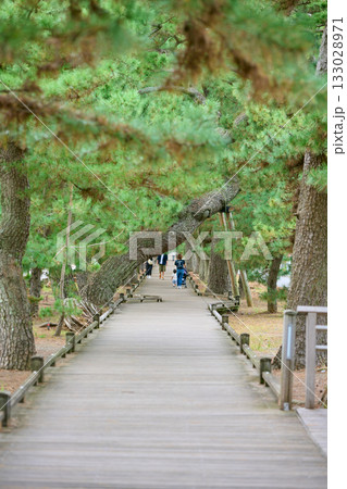 神の道 神の道 133028971