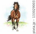 丘の上に立つ凛々しい茶色の馬の水彩イラスト素材・空と草原・動物・干支 133029003