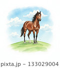 丘の上に立つ凛々しい茶色の馬の水彩イラスト素材・空と草原・動物・干支 133029004