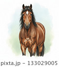丘の上に立つ凛々しい茶色の馬の水彩イラスト素材・空と草原・動物・干支 133029005