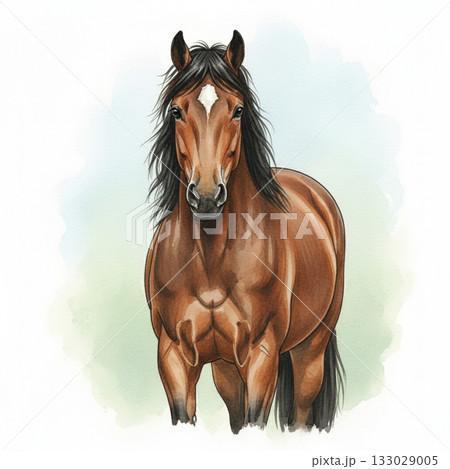 丘の上に立つ凛々しい茶色の馬の水彩イラスト素材・空と草原・動物・干支 133029005