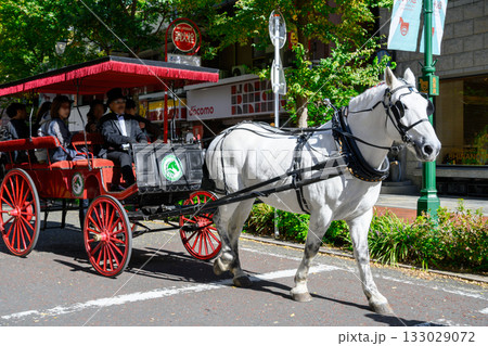 横浜市関内　文化の日　馬車道まつり　馬車道商店街　イギリス製馬車の試乗会 133029072
