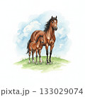 花が咲く草原に立つ親子の馬の水彩イラスト素材・空と仔馬・愛情・家族　年賀状素材　午年 133029074